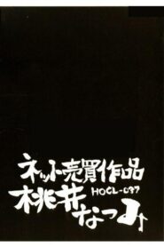 HOCL-037